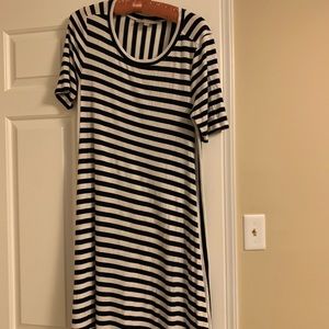 Ann Taylor Loft Navy Stripes Dress
